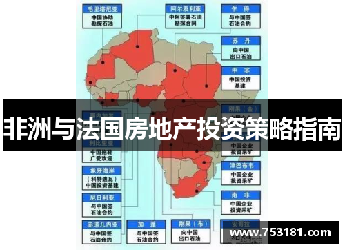 非洲与法国房地产投资策略指南